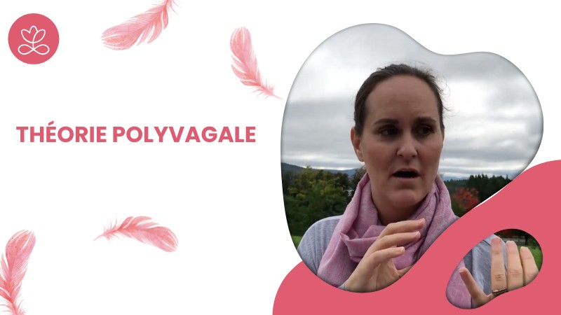 Jour 7 - Théorie Polyvagale